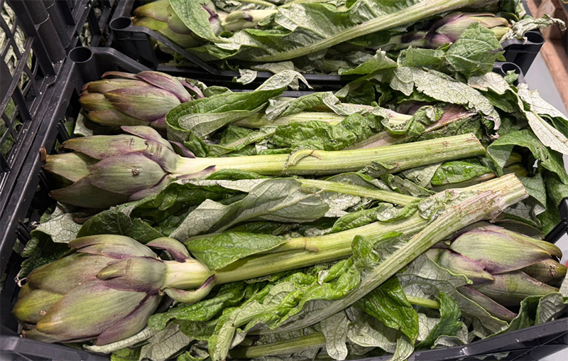 Carciofi - Sicilia - 0,90/1,00 euro a capolino